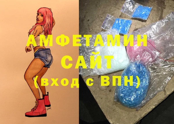 прущие грибы Мегион