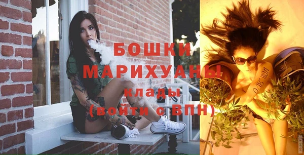 прущие грибы Мегион