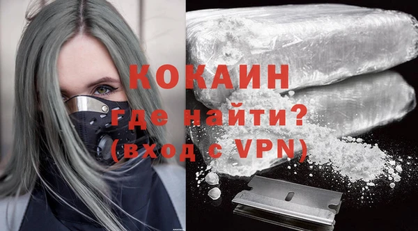 прущие грибы Мегион