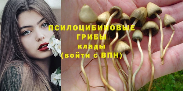 каннабис Медвежьегорск