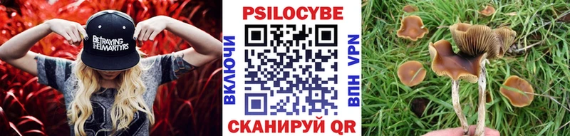 Псилоцибиновые грибы Magic Shrooms  mega   Приволжский 